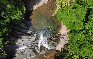 JUNGLE DREAMS FARM: WHERE NATURE MEETS SERENITY – 20 ACRES